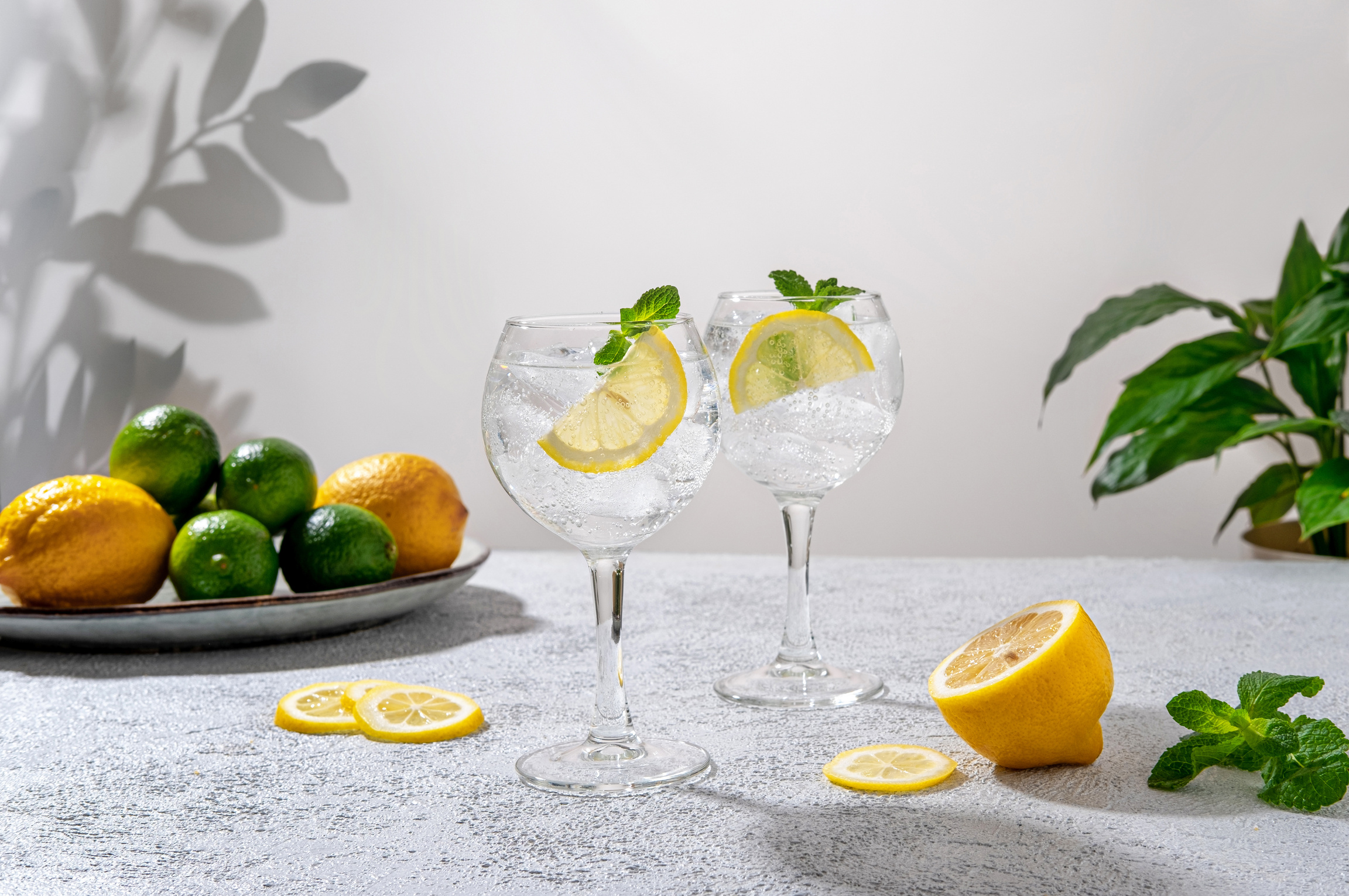 Gin tonic classic alcoholic cocktail drink with dry gin. Alcohol drink with lemon. Gin tonic cocktail with lemon.